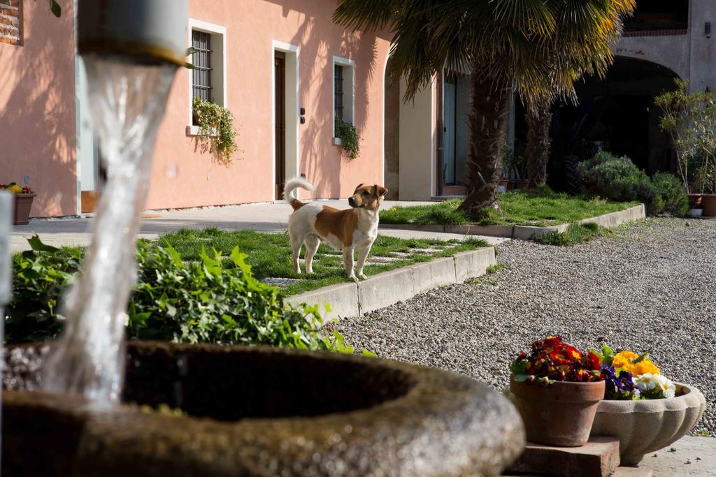 Tenuta Valtoppa Sillavengo Extérieur photo
